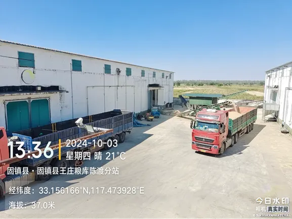 12.webp