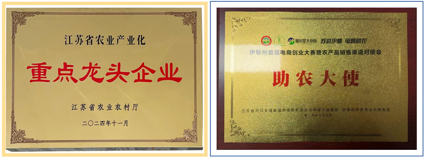 以管理为舵 强化内功提升企业实力