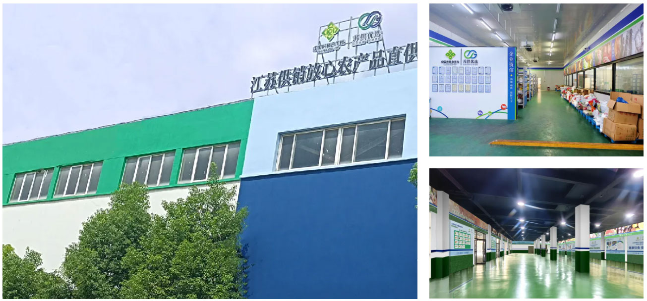 以创新为楫三网建设助力乡村振兴