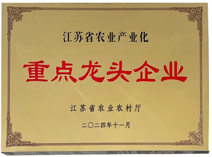 640 (8).webp 640 (8).webp